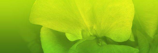 发卡网安全的网站攻击测试